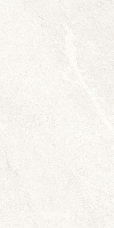 Dhara White Matte 12 x 24